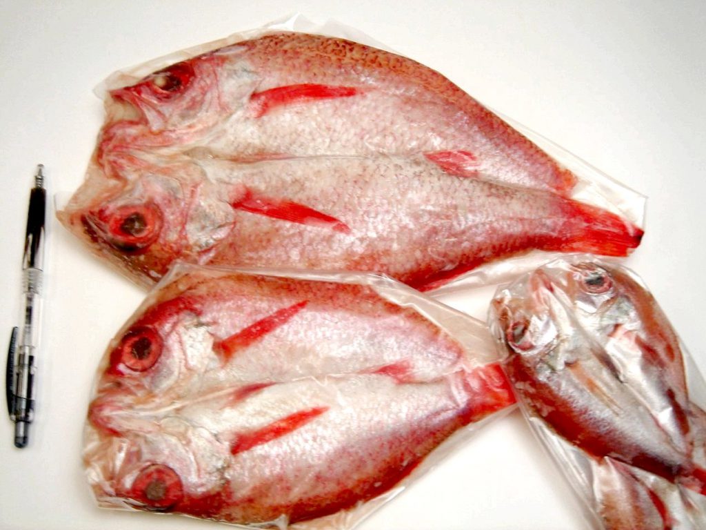 小型・中型・大型と取り揃えています。