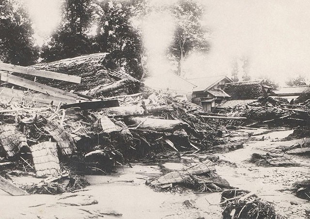 洪水で流木が堆積した水田